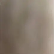 あかしの画像