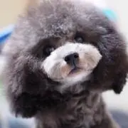 りょそまの画像