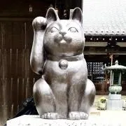 Taka