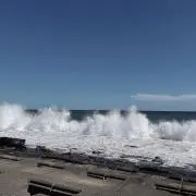 朱亜の画像