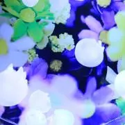 Uni◇の画像