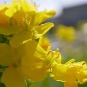 mmmm0625の画像