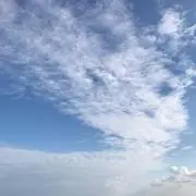 もりー