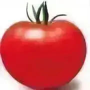 khyhの画像