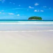 Rinaの画像