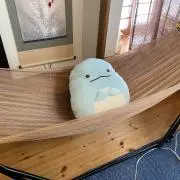 プロフ必読　入院中の画像