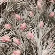 ❀hana❀プロフ必読*の画像