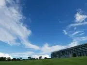 mimiの画像