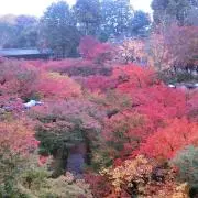 jgtの画像