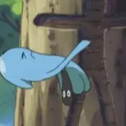 ゆうたまの画像