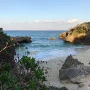 yoy開封時動画撮影してますの画像
