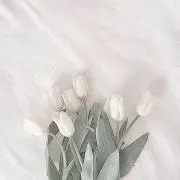 ♡の画像