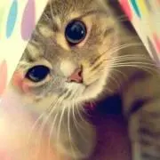 ♡M♡