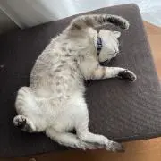 そらの画像