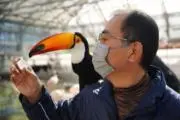 けんけん