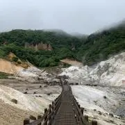 かい