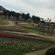 ♡FLOWERの画像