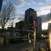ぽぽの画像