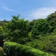 st