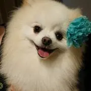 みわちゃんの画像