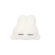 さこちんの画像