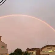 中臣塊の画像