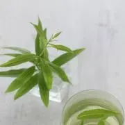 pawkの画像