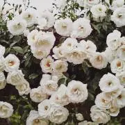 ♡の画像