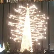 ナナの画像