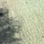 みずの画像