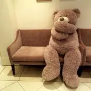 ぽぽの画像