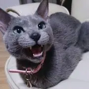 めぐみ