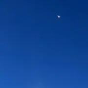 nzの画像