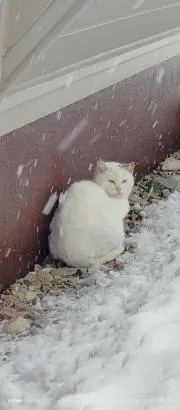 わー！の画像