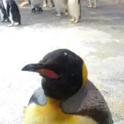 駒場の画像