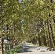 ueharapb3の画像