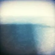 蝶