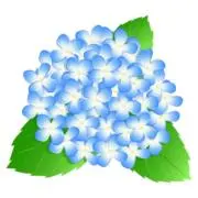 抹茶ラテ(返信遅)しろちゃんの画像