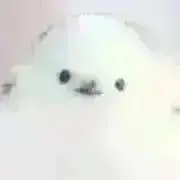 LARGEの画像