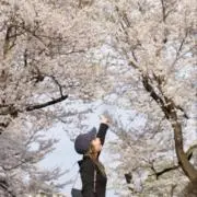 ういぽんの画像