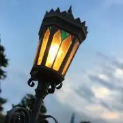 珈琲猫の画像