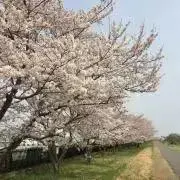 mareの画像