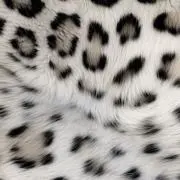 ‪‪❤︎‬の画像