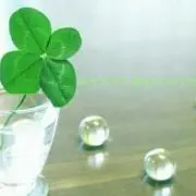 ミホ