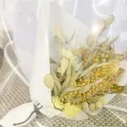 マロンの画像