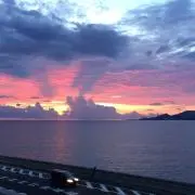 みぷの画像