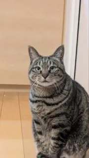 がるびあの画像