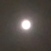 ODOMANの画像