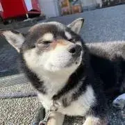 ゆうの画像