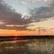 Y  週末限定セール中！早い者勝ち！